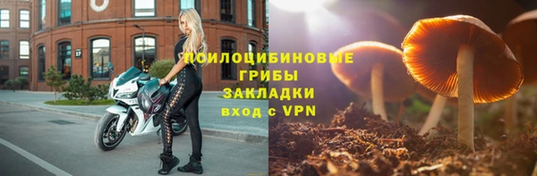 apvp Алзамай