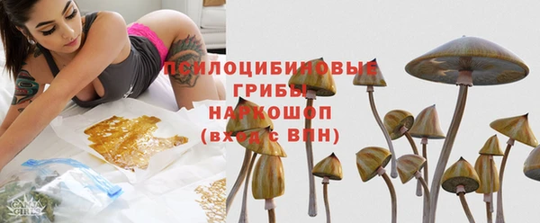 apvp Алзамай