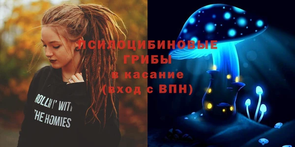 apvp Алзамай